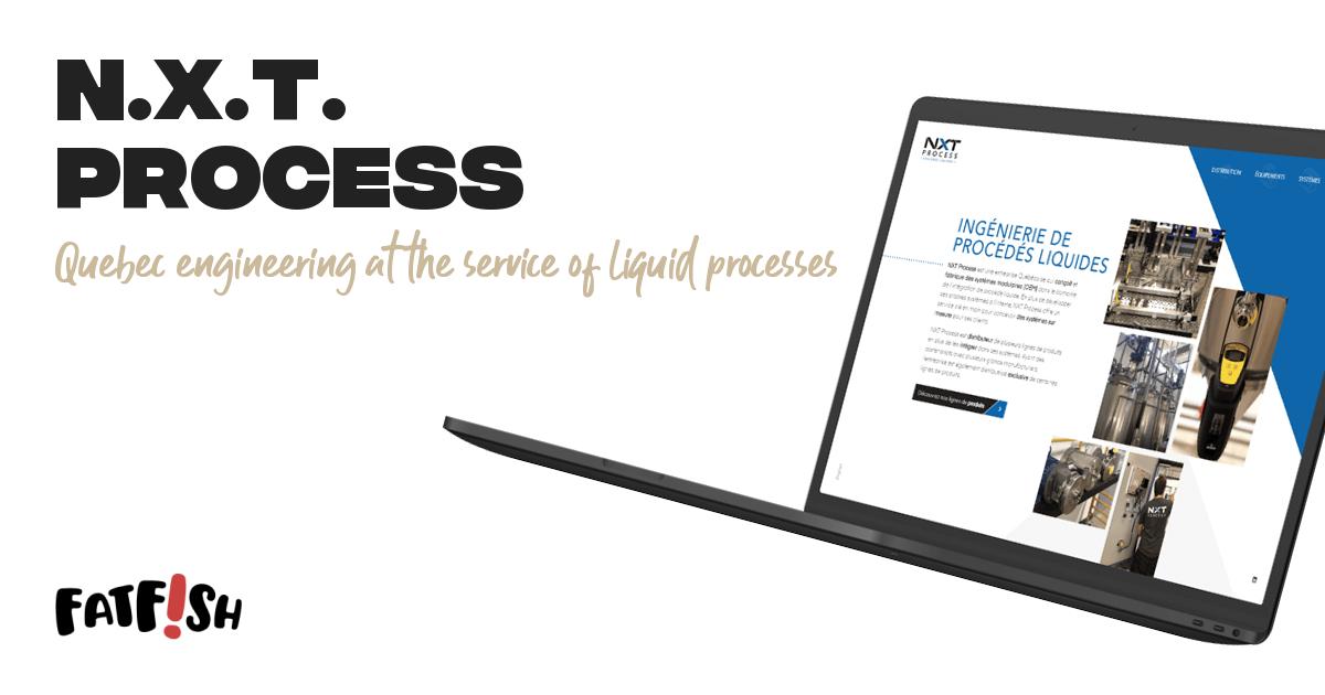 N.X.T. Process | fatfish [identity + web + strategy]
